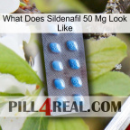 What Does Sildenafil 50 Mg Look Like viagra3